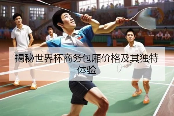 揭秘世界杯商务包厢价格及其独特体验