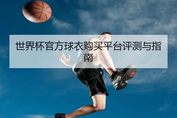 世界杯官方球衣购买平台评测与指南