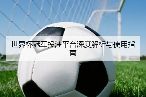 世界杯冠军投注平台深度解析与使用指南