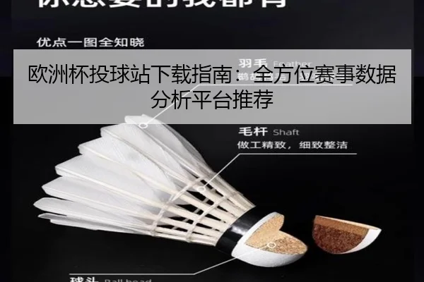 欧洲杯投球站下载指南：全方位赛事数据分析平台推荐
