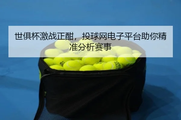 世俱杯激战正酣，投球网电子平台助你精准分析赛事