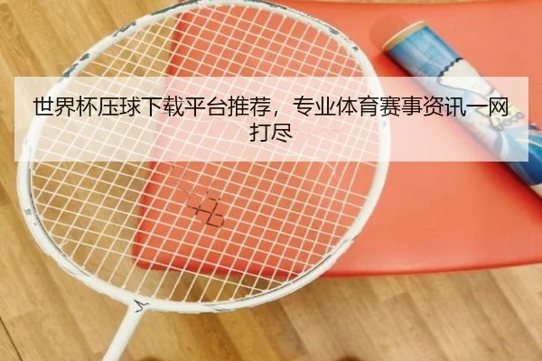 世界杯压球下载平台推荐，专业体育赛事资讯一网打尽